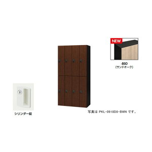 �p�[�\�i�����b�J�[�i8�l�p�j �|�b�P PKL�^/��:�T���h�I�[�N �{��:�u���b�N/W900×D450×H1800 PKL-09188-BSO 1��