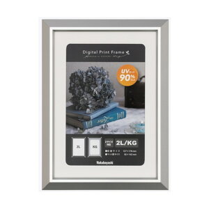 �f�W�^���v�����g�t���[��/�A���~/2L/�V���o�[ F-DPA-2L-SV