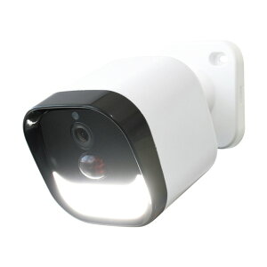 ��i LED�Z���T�[���C�g�t���C�����X�h�ƃJ���� DLA-RD300-SL 1��