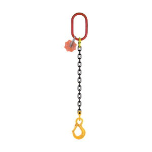 C[OENv XOtbNiAC^jt`F[iVO^Cvj SSHE-S-2.0-2.0M-V 1