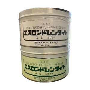 �G�X���� �h�����^�C�g ��ʗp 2kg�Z�b�g 2000 N503-02