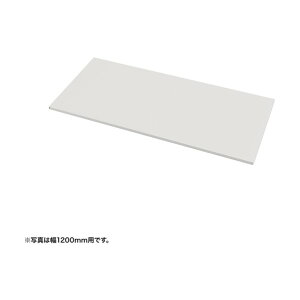 ���IW1650�~���p�i�z���C�g�ED500�~���j EN-1655W 1��