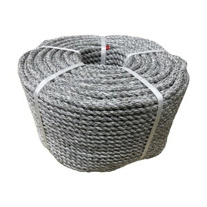 ���[�v �L���O�n�C���� PE�{�G�X�e�� 3�c�� 30mm×200m GG KH30-200 1��