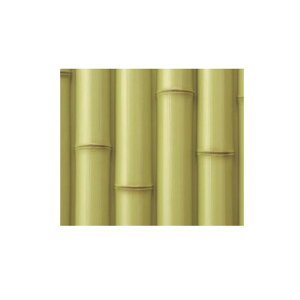 Go[ou[(lH|_) Go[ے|{[h 􂢐| W900×H1800mm EV-84 1