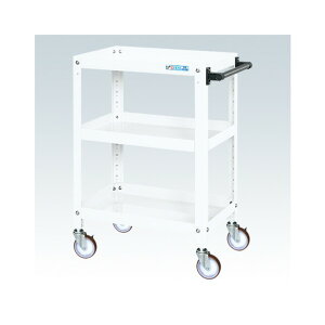 �X�[�p�[���S��(�T�C�����g�G���X�g�}�[��/H880/3�i�^�C�v/�˂����ݎ��L���X�^�[) SAS-60883SEW 1��