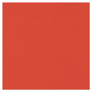 VR[ ^tv[mbNX2.0 2.0mm/182cm TPV538C 1m