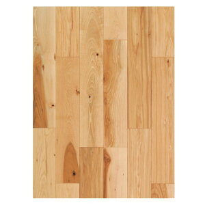 �_�C�i�N�e�B�u�t���A�[ �� ���� �t���[�����O�ށi1�P�[�X3����×2�j 12×303×1,818mm �q�b�R���[ X16S 6��
