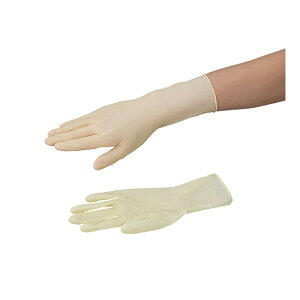 AY AYsAebNXII nCObv^CviSʃG{Xj N[[p SS 1-4776-54 100