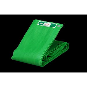 �^�[�s�[ �X�g�����O���b�V�� �O���[�� 1.8m×5.1m STGM1851-GRN 1�_