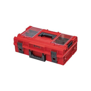 QBRICK �L���[�u���b�N 15.4L���ϋv���c�[���{�b�N�X �J�X�^�}�C�Y�\�Ȏd�؂�ƃo�P�b�g�t ���b�h 5901238256205 1��