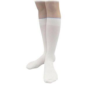 �A�Y���� ���o�C�� 22�`24cm 1-9087-01 1��