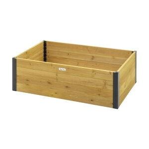 ���|�p�i �x�W�؉��t���[�� H34cm VGT-RB02 1��