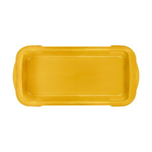 FJ-BT�V���[�Y�p�O���\����ی�P�[�X AXP-2004849A AXP-2004849A 1��