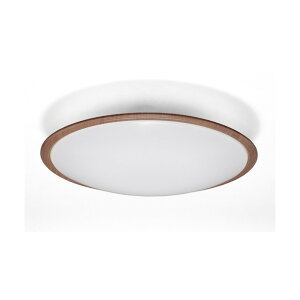 �A�C���X�I�[���} LED�V�[�����O���C�g �������� �E�b�h�t���[��14�����F �E�H�[���i�b�g CL14DL-5.11WFV-M 1��