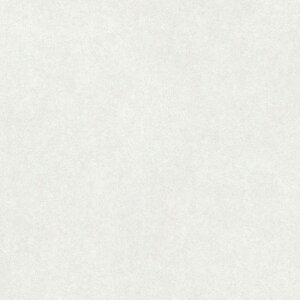 ���@�l��p�i���V���R�[�� ���r�^�C�� �G�~�l���X�^�C�� �V���g�X�g�[�� ��2.5mm 457.2mm×457.2mm RS-3133 20��