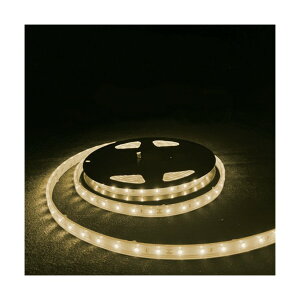 LED�e�[�v���C�g DC24V �d���F 2M N-LY60-S2835W30-W24-IP65 2M