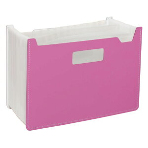 ZLZC psG hLgX^h Ch 25P sN FB-2382-21 1_