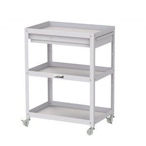 RH RrjS iCLX^[ Lrlbgt3i WCCN-3-P 1_