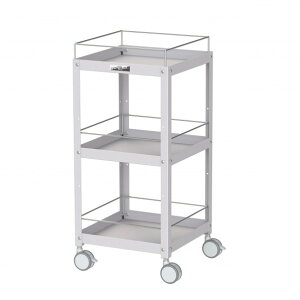 RH RrjS oփLX^[ R{~ߕt3i WCLFS-3-P 1_