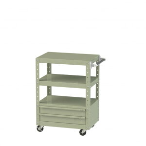 山金工業 スペシャルワゴン W600×D400 移動式 キャビネット浅型2段×1個グリーン W6CU-BS-G 1点