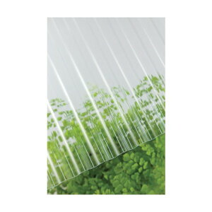 ^LKCz[Cv[ug ^L@|Jg@32g@9ځ@610NA 1_ x 10_