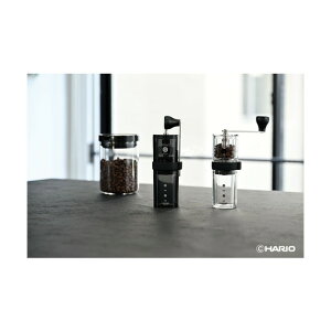 MSGS-2-B �R�[�q�[�~���E�X�}�[�gG PRO MSGS-2-B-24