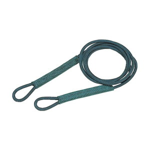 �g���X�R(TRUSCO) �Z�t�e�B�p���[���[�v�V���u���Ȃ�12mmX3m 475 x 120 x 80 mm SP-123