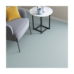 �J�b�g�p�C���I�[�_�[�J�[�y�b�g �j���[�R�X�� CM-6011 �A�N�A CM-6011