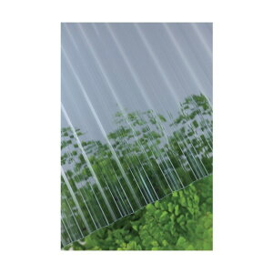 ^LKCz[Cv[ug ^L@|Jg@32g@7ځ@910O[X[N 1_ x 10_