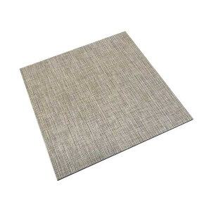 �t���A�}�b�g ���m�x�X�^�C��MT PR002 �v���V���X D450mm×W450mm×H6�D5mm 4140109 1��