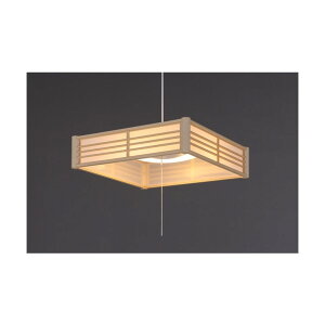 202903 �a��LED�y���_���g���C�g �������F 12�� PL12DL-J2