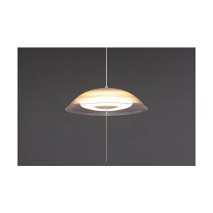 202897 �m��LED�y���_���g���C�g �������F 12�� PL12DL-YA2