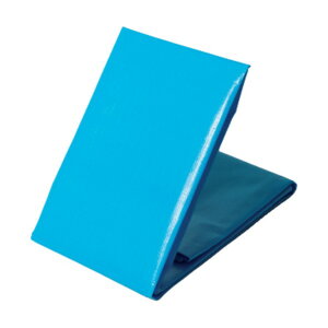 まつうら工業 NEOシート(ブルーシート)#3000 5.4×7.2m ブルー NEOS5472 1枚