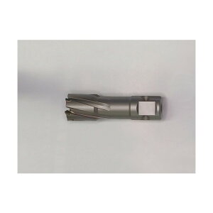 ���^���u���[�` �n��a12mm×�ő��35mm METAL3512 1�{
