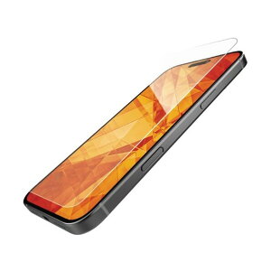 iPhone16ProMax�p�K���X�t�B���� �_�C�������h�R�[�e�B���O �S���� 0�D21mm ������ PM-A24DFLGDCO