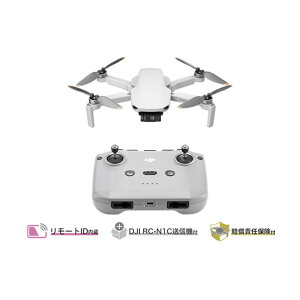 DJI Mini 4K D250214010