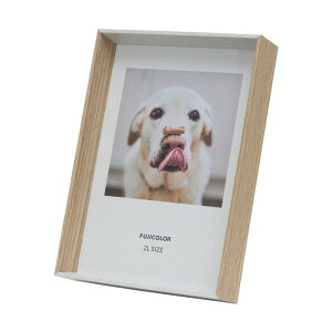 �c�[�J���[�t���[�� TwoColorFrame4811LWH/NT TWOCOLORFRAME4711LWH/NT
