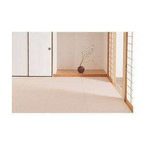 ���� �~���l�� �􂦂邢�����J�[�y�b�g �p�X���b�V�� �s���N �]�ˊ�2�� 81961720 0