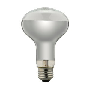 ���U�� ���t�d��100W�` �a80mm×H125mm RF100V90W 1