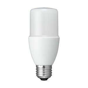 T�`LED 100W�` E26 �����F LDT13NG 1��