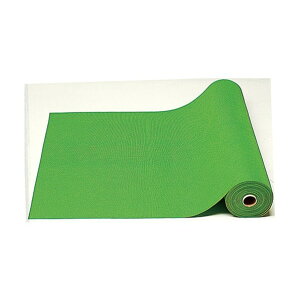 ���c��H�� �_�C���}�b�g 1m × 10m 79030 1��