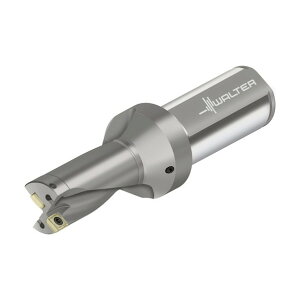 �����^�[�W���p�� �`�b�v�������h���� D4120 D4120.02-16.66F26-P42 1�_