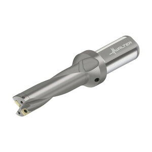 �����^�[�W���p�� �`�b�v�������h���� D4120 D4120.04-16.66F26-P42 1�_