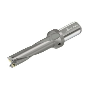 �����^�[�W���p�� �`�b�v�������h���� D4120 D4120-05-18.00F25-P42 1�_