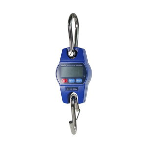 �N���[���X�P�[�� 300kg DCS-300 1��