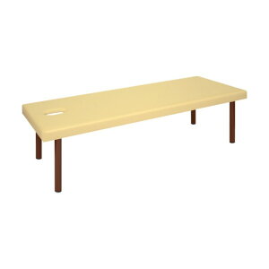 DX�{�f�B�x�b�h��:65cm����:180cm����:55cm�F:�I�����W �I�����W TB-1211-6518055-OR 1��
