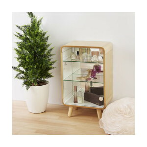 �R���N�V�����V�F���tS �i�`������ PT-611NA 6300044738 1��