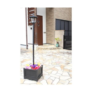 �J������ �l�p���v�����^�[�t���\�[���[���C�g 1�� TAN-793-1 1��