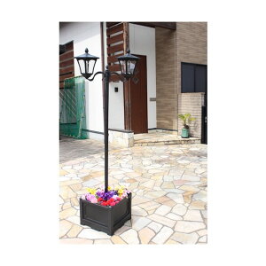 �J������ �l�p���v�����^�[�t���\�[���[���C�g 2�� TAN-793-2 1��