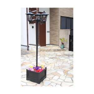 �J������ �l�p���v�����^�[�t���\�[���[���C�g 3�� TAN-793-3 1��